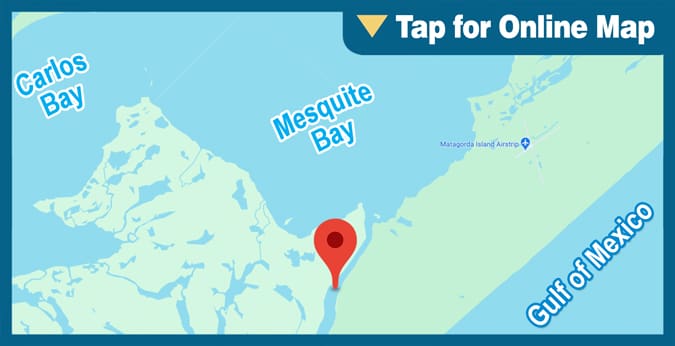 Mesquite Bay: Cedar Bayou