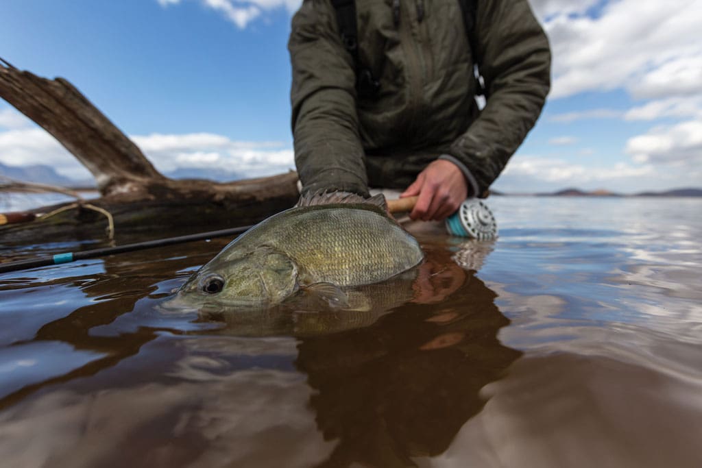 The satisfaction of landing big pond bass is an experience worth pursuing.