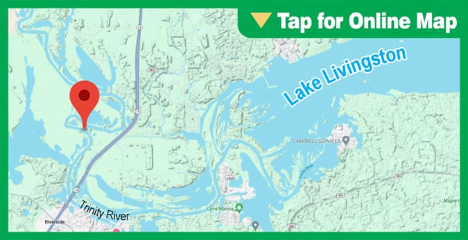 Lake Livingston: The Cut