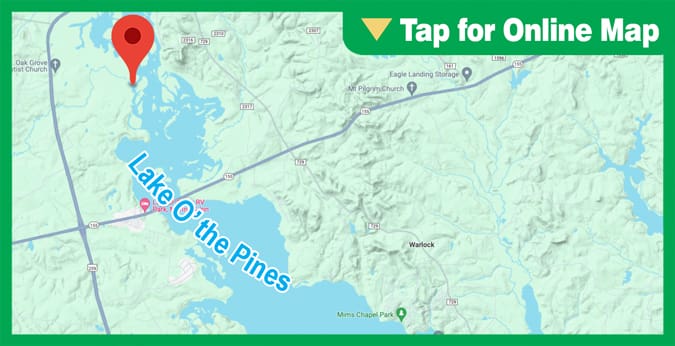 Lake O the Pines: Billy Bass Slough
