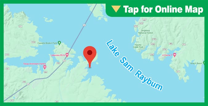 Lake Sam Rayburn: Mudd Creek