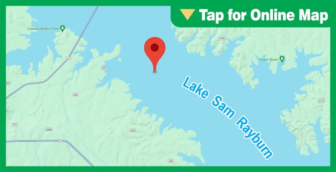 Lake Sam Rayburn: Black Forest