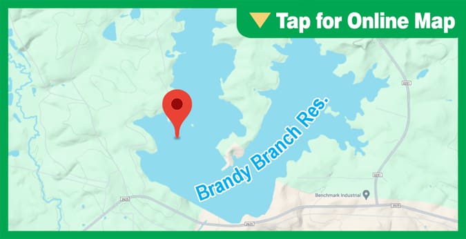 Brandy Branch Reservoir: Hydrilla Hump #8