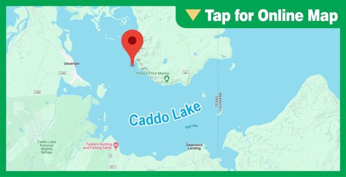 Caddo Lake: Ames Spring Basin or Old Folks Playground
