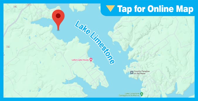 Lake Limestone: Dooley Creek