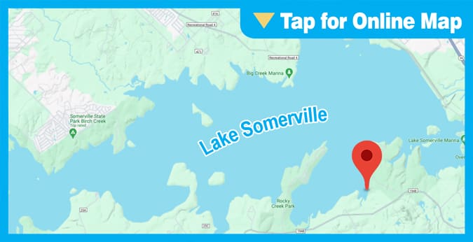 Lake Somerville: Yegua Park Shoreline