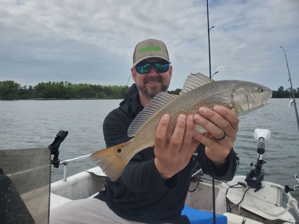 puppy drum in the channel