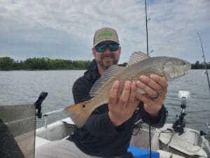 puppy drum in the channel
