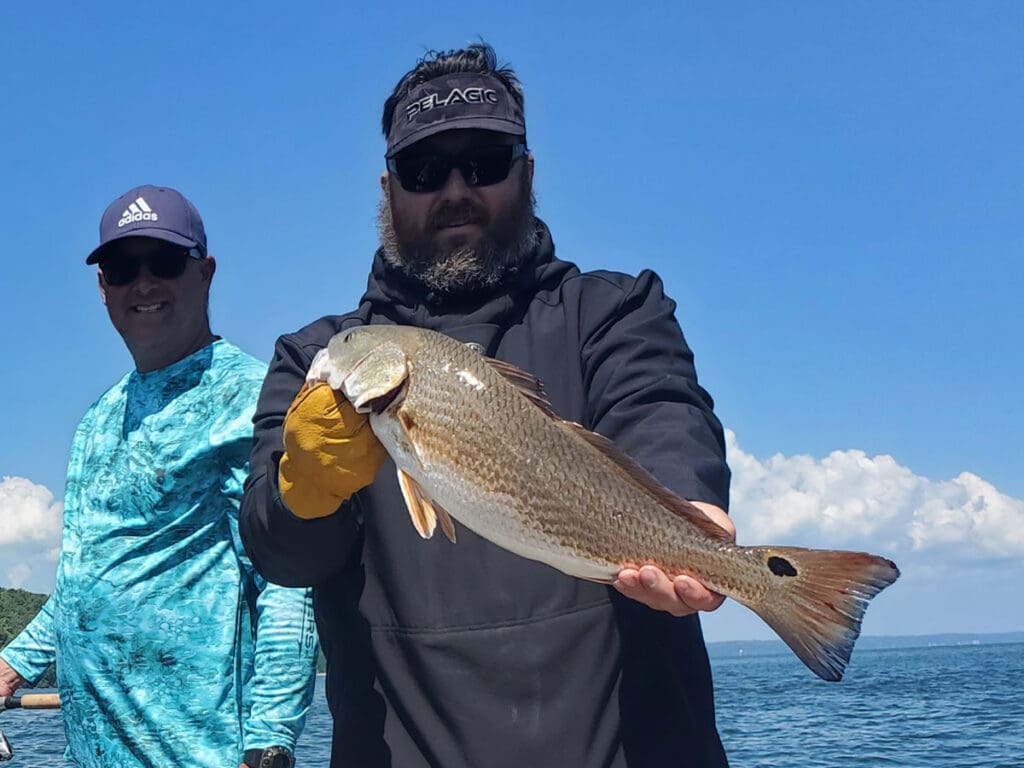 red drum