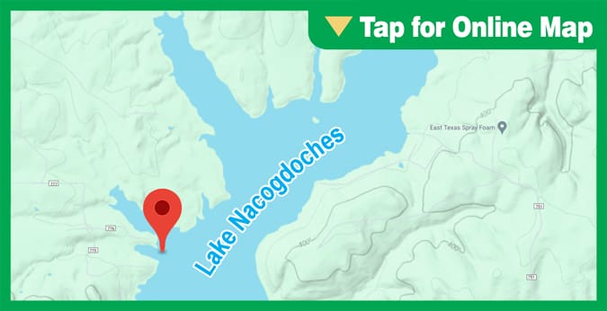 Lake Nacogdoches: Long Point