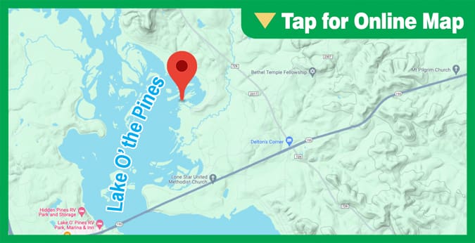 Lake O the Pines: Willow Flats