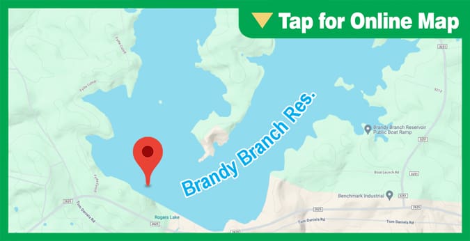 Brandy Branch Reservoir: Dam Area
