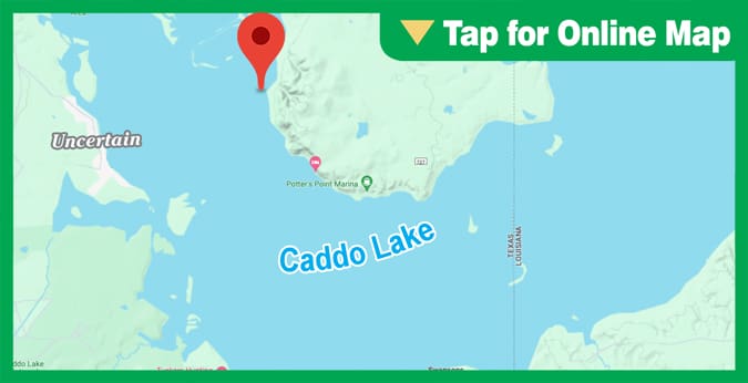 Caddo Lake: Alligator Bayou