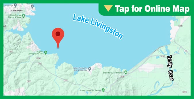 Lake Livingston: Mill Creek