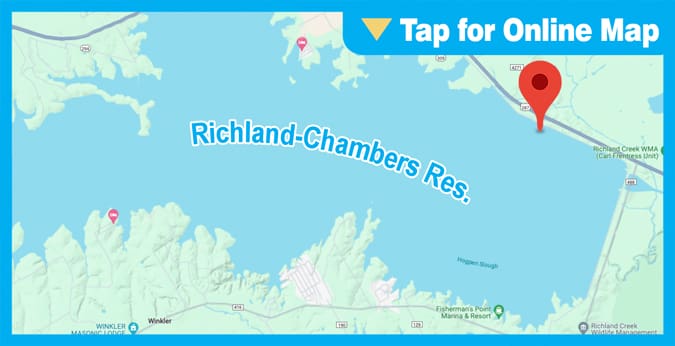 Richland Chambers Res.: 309 Flats