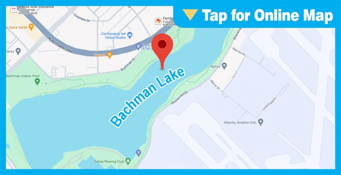 Bachman Lake: Main Lake