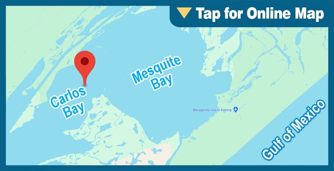 Carlos Bay: Cedar Reef
