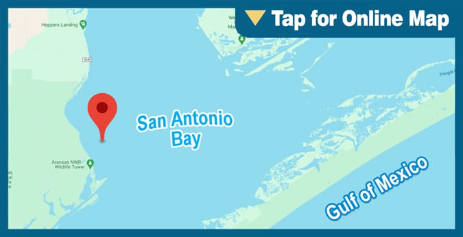 San Antonio Bay: Chicken Foot Reef