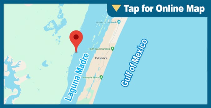Upper Laguna Madre: King Ranch Shoreline