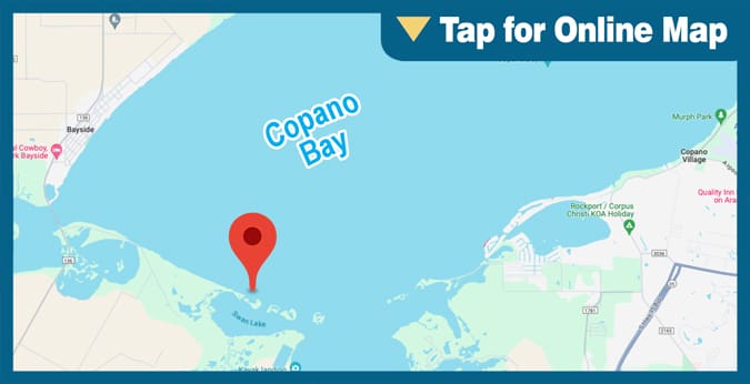 Copano Bay: Mud Flat