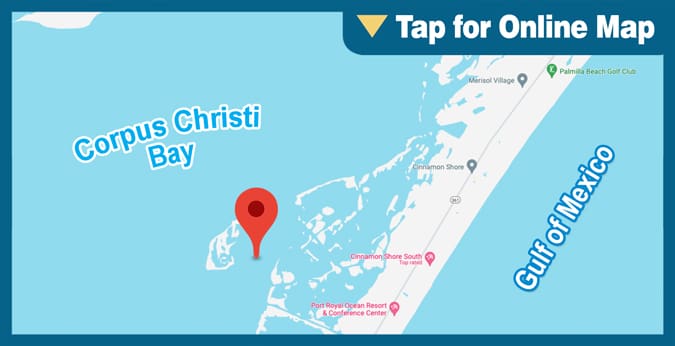 Corpus Christi Bay: Shamrock Cove