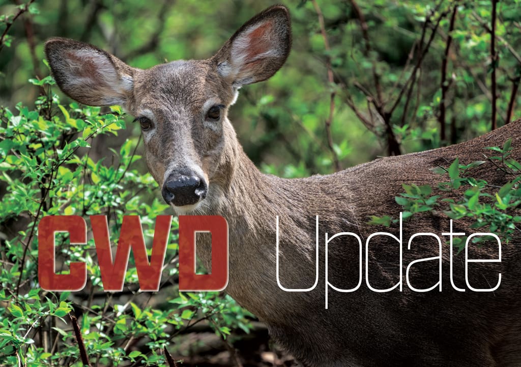 CWD Update