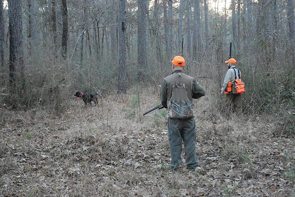 Make sure you have all proper licenses and permits going into hunting season.