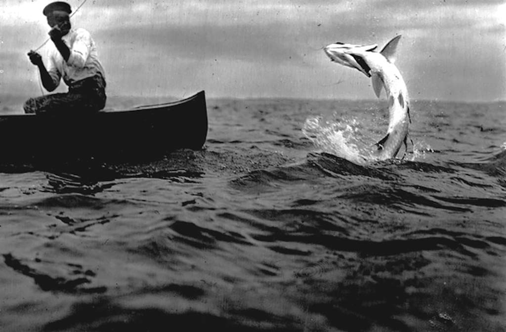 Back in the day, targeting tarpon around jetties in Texas was super popular as the species was more widespread nearshore. Now, they are coming back in some areas in seemingly larger numbers, offering more opportunity.