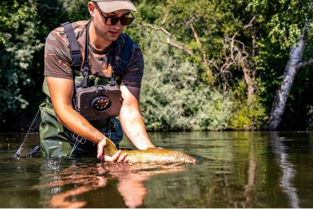 How Conservation Programs Help Maintain Fish Populations