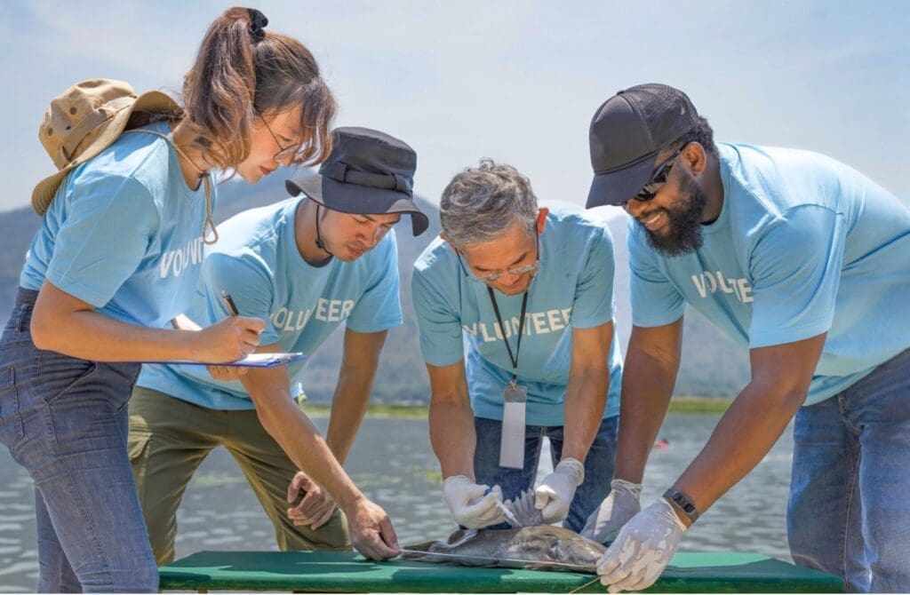 A group of conservation volunteers