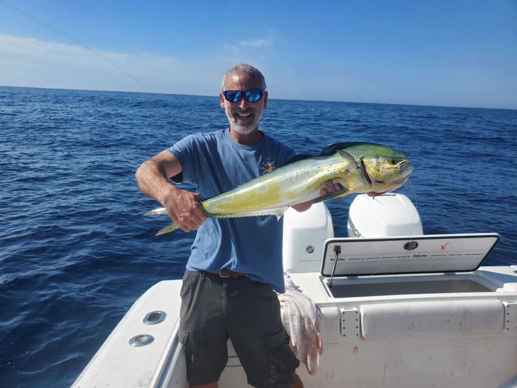 mahi mahi