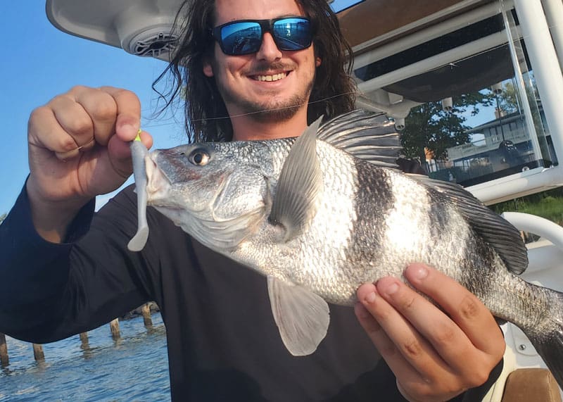 paddle tail lure