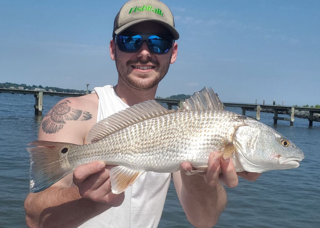 red fish