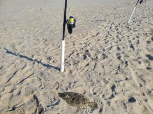 flounder caught in the surf