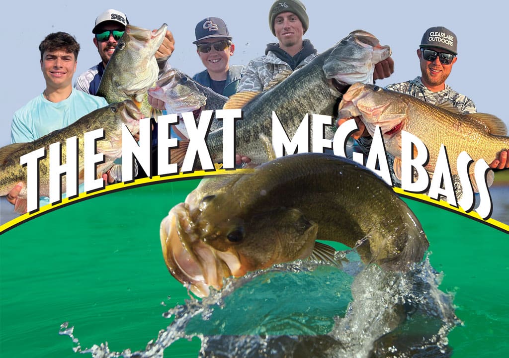 COVER STORY: The Next Mega Bass - FishGame