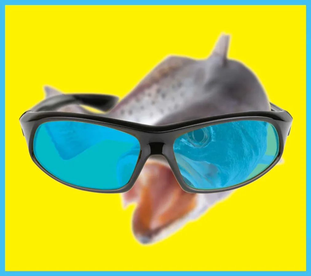 Step 1: Invest in a quality pair of sunglasses.