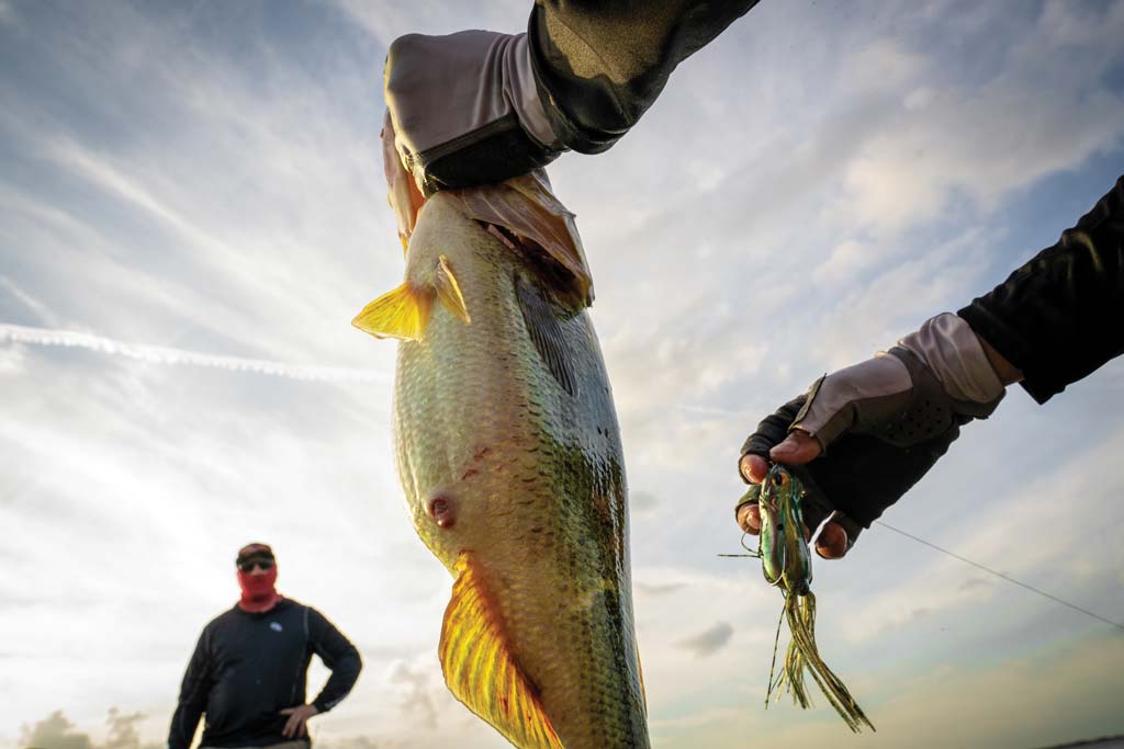 In heavy vegetation, frogs or bulky jigs can punch through cover.