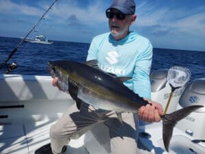 blackfin tuna