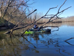 kayak in the trees