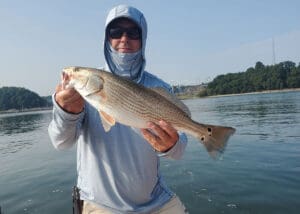 redfish caught on a gulp!