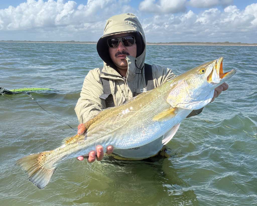 TPWD trout regulations appear to be working, as more midcoast anglers are catching specks of a lifetime.