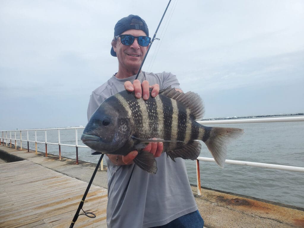 angler with a sheepshead