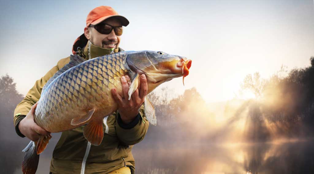 Carp