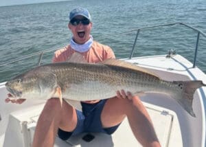 big bull drum