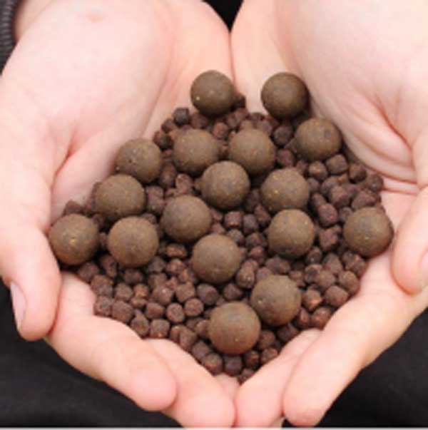 High-protein boilies are recommended for during Spring.