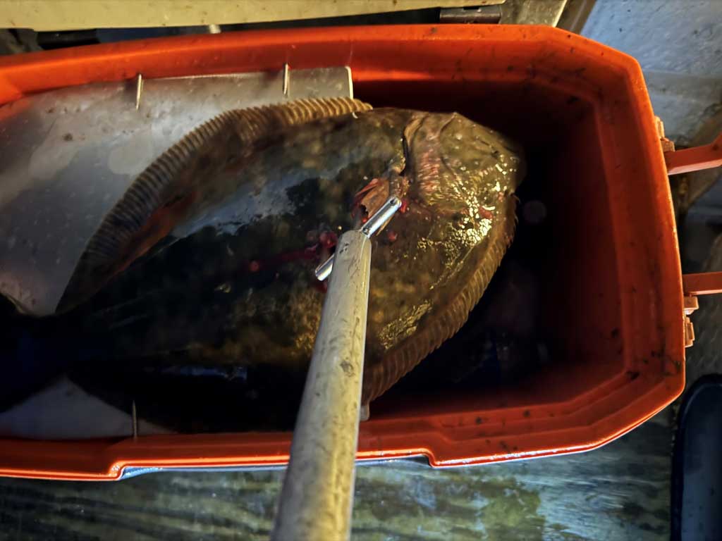 Flounder gigging is a great way for anglers to avoid the summer heat.