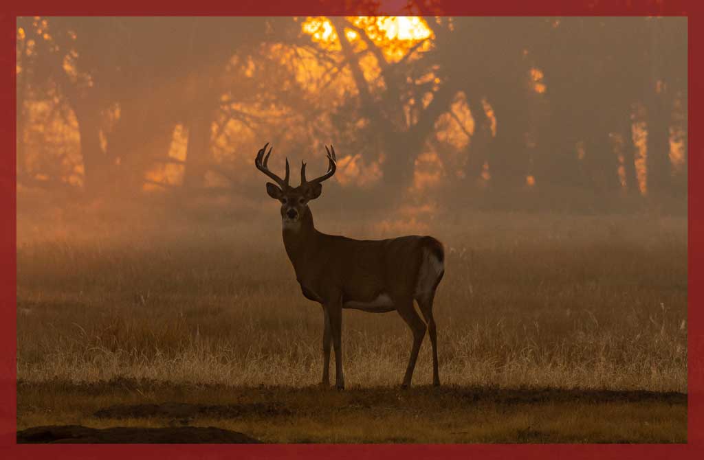 Braving the heat now to scope out your hunting ground will pay dividends this fall.