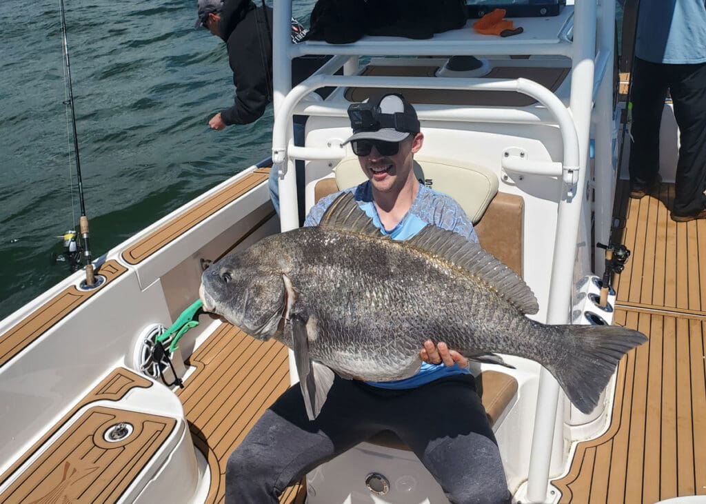 trophy black drum