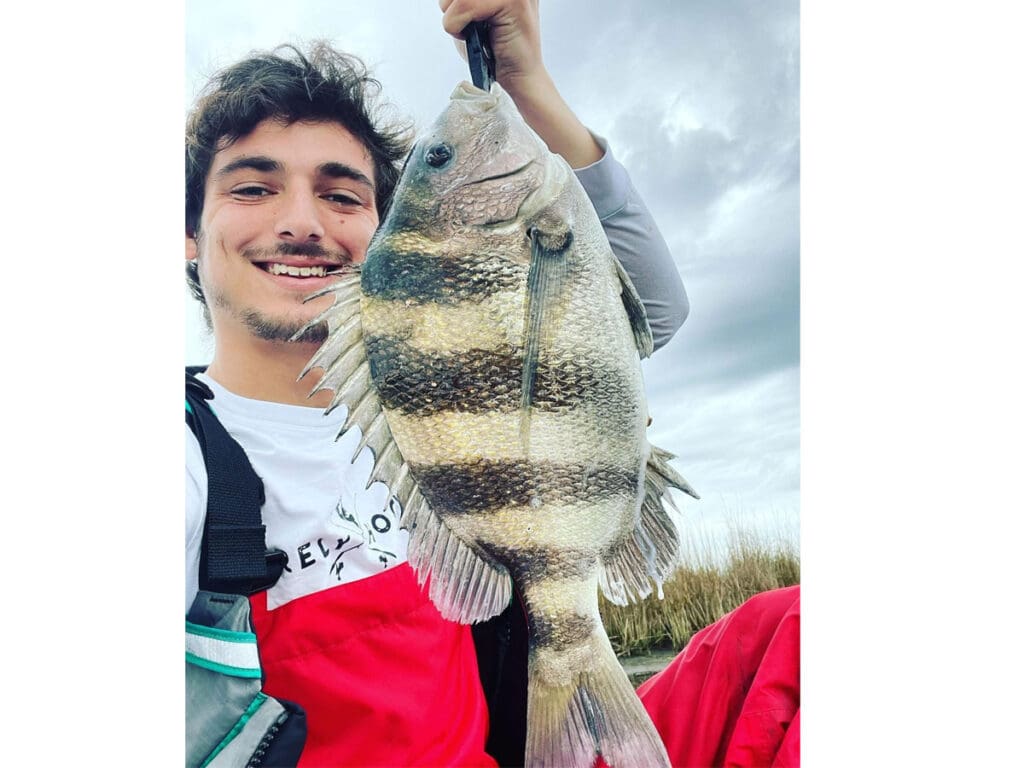 sheepshead