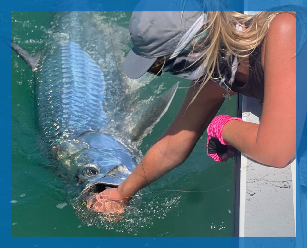 September and October are top months for chasing Laguna tarpon.